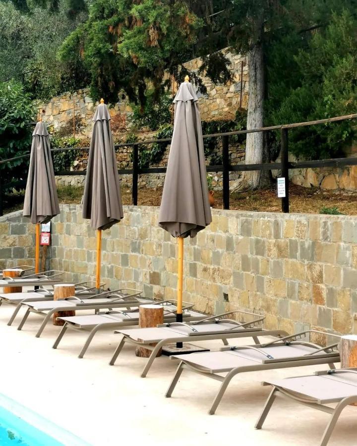 Agriturismo Osteria Du Barba Pe' - Casa Cassini Bordighera Extérieur photo