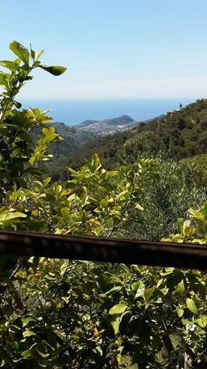 Agriturismo Osteria Du Barba Pe' - Casa Cassini Bordighera Extérieur photo