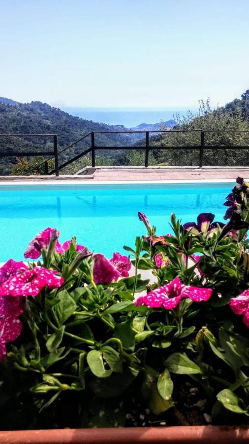Agriturismo Osteria Du Barba Pe' - Casa Cassini Bordighera Extérieur photo